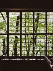 Free reading of Ling